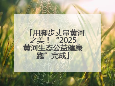 用脚步丈量黄河之美！“2025黄河生态公益健康跑”完成