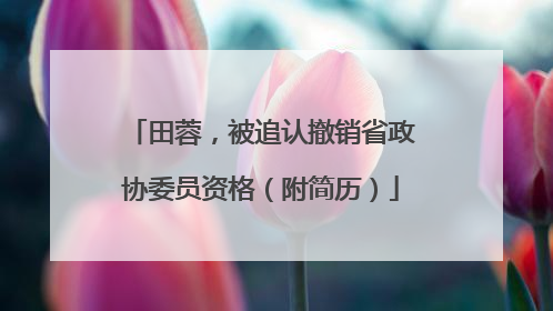 田蓉，被追认撤销省政协委员资格（附简历）