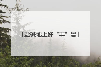盐碱地上好“丰”景