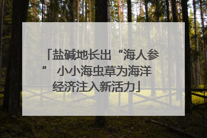 盐碱地长出“海人参” 小小海虫草为海洋经济注入新活力