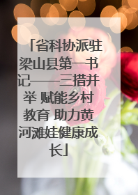 省科协派驻梁山县第一书记——三措并举 赋能乡村教育 助力黄河滩娃健康成长