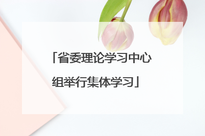 省委理论学习中心组举行集体学习