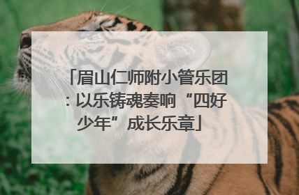 眉山仁师附小管乐团：以乐铸魂奏响“四好少年”成长乐章