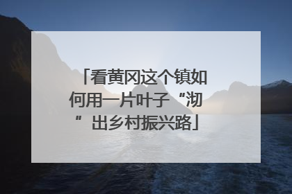 看黄冈这个镇如何用一片叶子“沏”出乡村振兴路