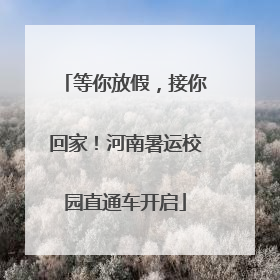 等你放假，接你回家！河南暑运校园直通车开启