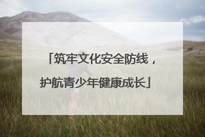 筑牢文化安全防线，护航青少年健康成长
