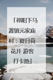 祁阳下马渡镇元家庙村：夏日荷花开 游客打卡热