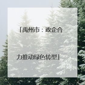 禹州市：政企合力推动绿色转型