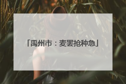 禹州市：麦罢抢种急