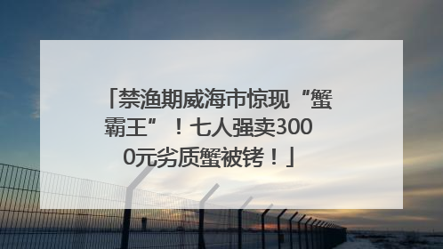 禁渔期威海市惊现“蟹霸王”！七人强卖3000元劣质蟹被铐！