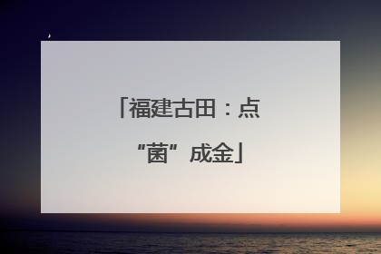 福建古田：点“菌”成金