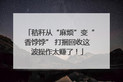 秸秆从“麻烦”变“香饽饽” 打捆回收这波操作太赚了！