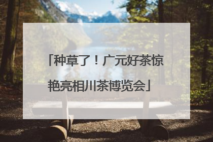 种草了！广元好茶惊艳亮相川茶博览会