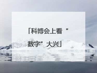 科博会上看“数字”大兴