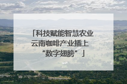 科技赋能智慧农业 云南咖啡产业插上“数字翅膀”