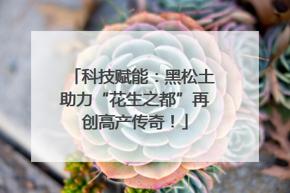 科技赋能：黑松土助力“花生之都”再创高产传奇！