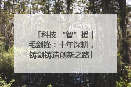 科技 “智”援｜毛剑锋：十年深耕，铸剑铸造创新之路