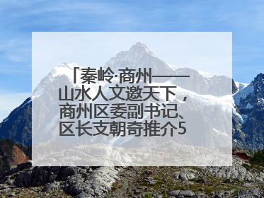 秦岭·商州——山水人文邀天下，商州区委副书记、区长支朝奇推介5个重点招商项目