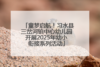 童梦启航！习水县三岔河镇中心幼儿园开展2025年幼小衔接系列活动