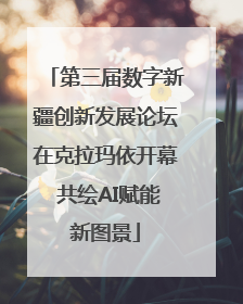第三届数字新疆创新发展论坛在克拉玛依开幕 共绘AI赋能新图景