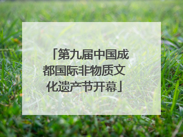 第九届中国成都国际非物质文化遗产节开幕