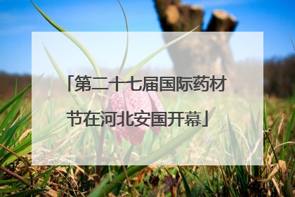 第二十七届国际药材节在河北安国开幕