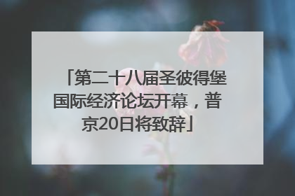 第二十八届圣彼得堡国际经济论坛开幕，普京20日将致辞