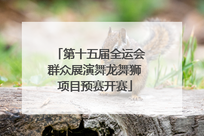 第十五届全运会群众展演舞龙舞狮项目预赛开赛