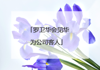 罗卫华会见华为公司客人