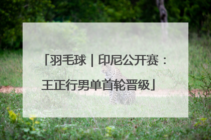 羽毛球｜印尼公开赛：王正行男单首轮晋级