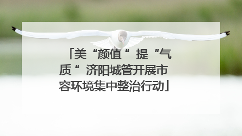 美“颜值 ”提“气质 ”济阳城管开展市容环境集中整治行动