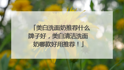 美白洗面奶推荐什么牌子好，美白清洁洗面奶哪款好用推荐！