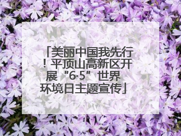 美丽中国我先行！平顶山高新区开展“6·5”世界环境日主题宣传