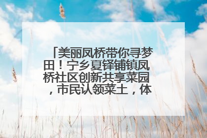 美丽凤桥带你寻梦田！宁乡夏铎铺镇凤桥社区创新共享菜园，市民认领菜土，体验耕种收获乐趣