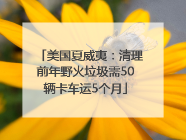 美国夏威夷：清理前年野火垃圾需50辆卡车运5个月