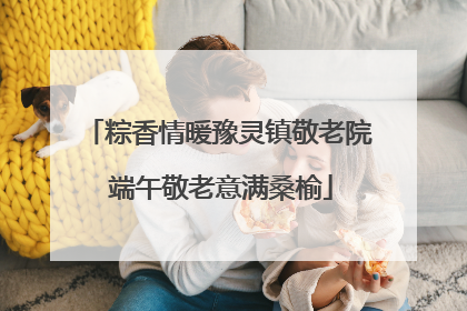 粽香情暖豫灵镇敬老院 端午敬老意满桑榆
