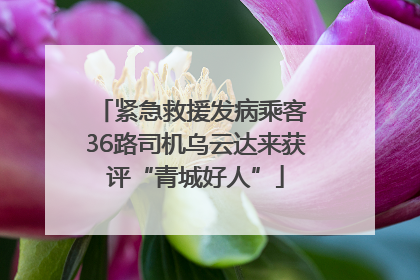 紧急救援发病乘客 36路司机乌云达来获评“青城好人”