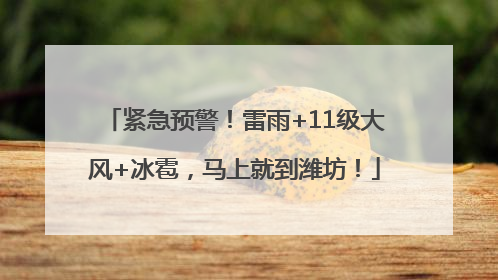 紧急预警！雷雨+11级大风+冰雹，马上就到潍坊！
