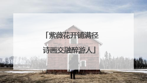 紫薇花开铺满径 诗画交融醉游人