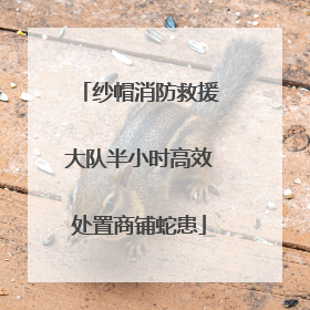 纱帽消防救援大队半小时高效处置商铺蛇患