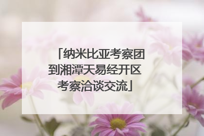纳米比亚考察团到湘潭天易经开区考察洽谈交流