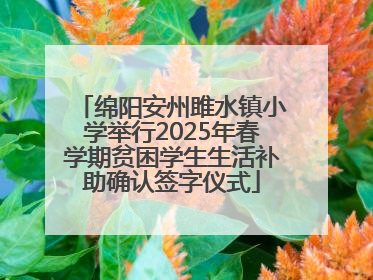 绵阳安州雎水镇小学举行2025年春学期贫困学生生活补助确认签字仪式