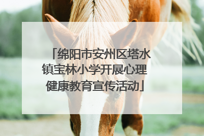 绵阳市安州区塔水镇宝林小学开展心理健康教育宣传活动