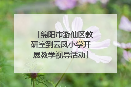 绵阳市游仙区教研室到云凤小学开展教学视导活动
