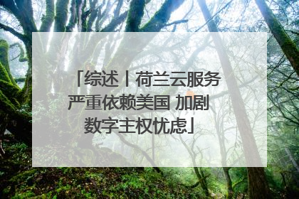 综述丨荷兰云服务严重依赖美国 加剧数字主权忧虑