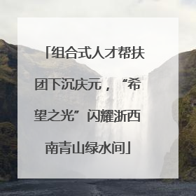 组合式人才帮扶团下沉庆元，“希望之光”闪耀浙西南青山绿水间