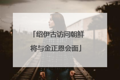 绍伊古访问朝鲜 将与金正恩会面