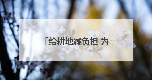 给耕地减负担 为丰收添底气——黑龙江省综合施策推进黑土地保护利用