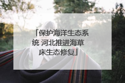 保护海洋生态系统 河北推进海草床生态修复