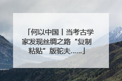 何以中国丨当考古学家发现丝绸之路“复制粘贴”版驼夫……